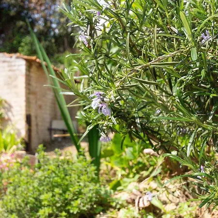 Di Vincenzo A Due Passi Dal Mare 公寓 Silvi Paese