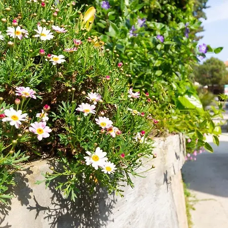 Di Vincenzo A Due Passi Dal Mare * Silvi Paese